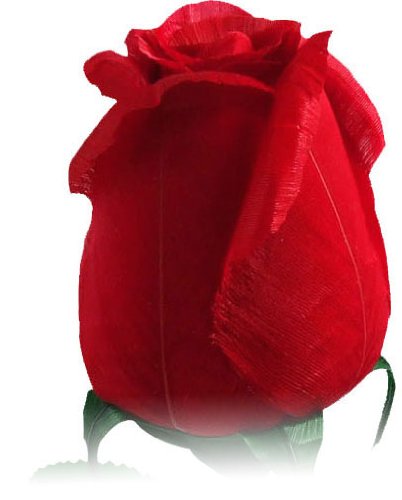 RoseFeather Handmade Feather Roses - 12pc Gift Box