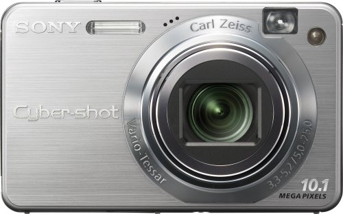 Sony Cybershot DSCW170 10 MP Digital Camera with 5x Optical Zoom with Super Steady Shot